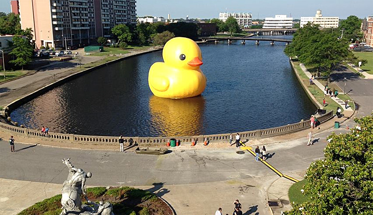 DUckPicture HEre